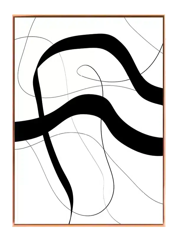 Fluid Contour Paths Plakat