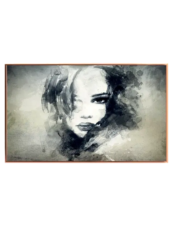 Veiled Expression Plakat
