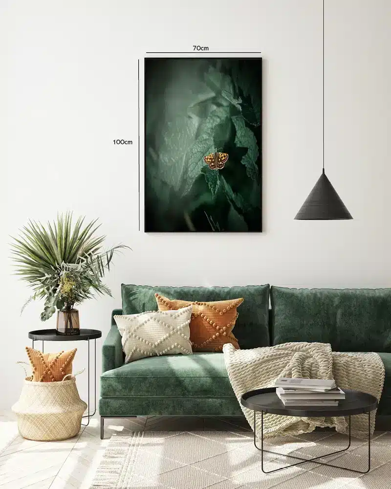 Sommerfugl På Grønne Blade Plakat