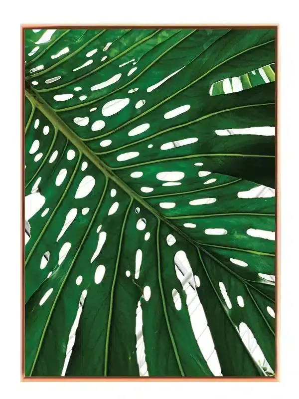 Monstera Blad Nærbillede Plakat