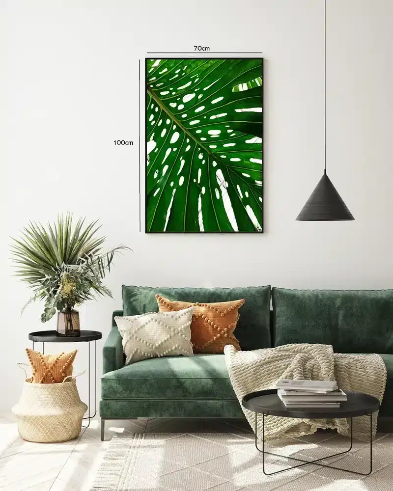 Monstera Blad Nærbillede Plakat