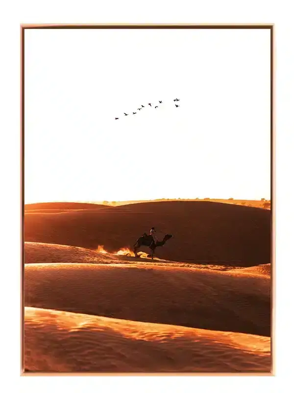 Kamelridning i Solnedgang Plakat