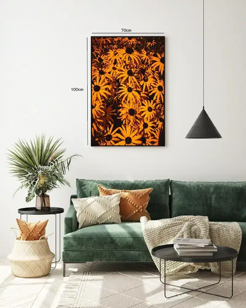 Solvarme Sortøjede Susan Plakat