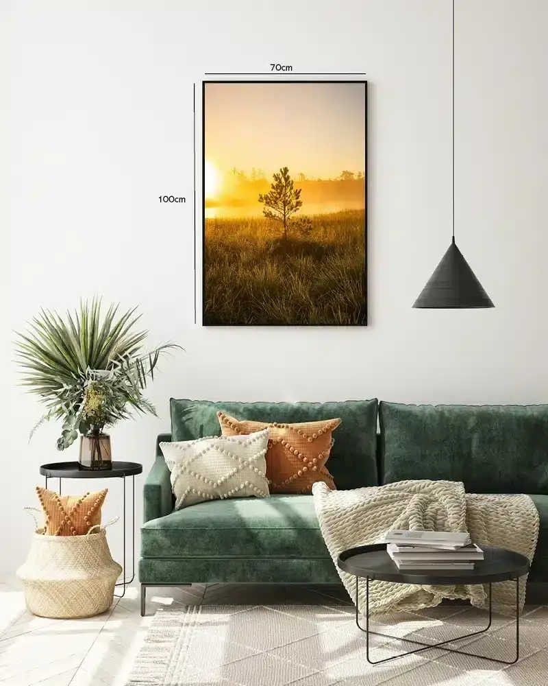 Enkelt Fyrretræ i Morgengry Plakat