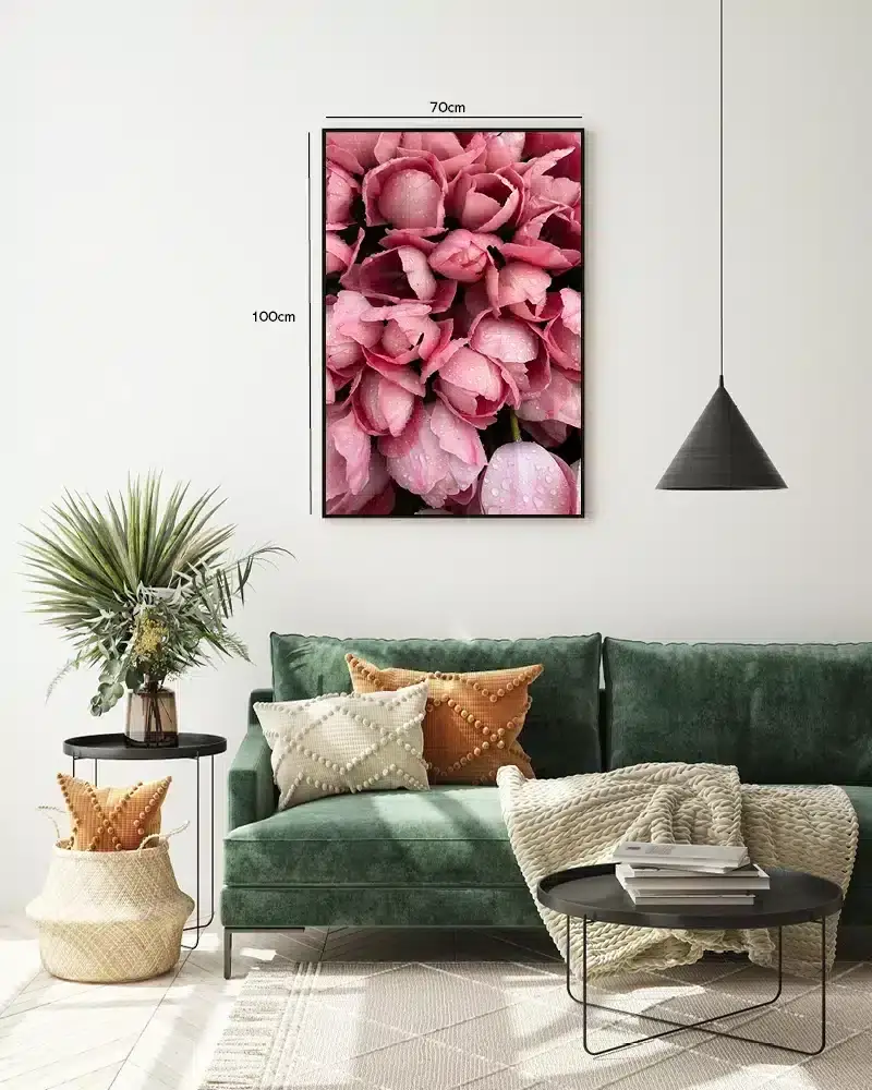 Rosa Tulipaner Med Dug Plakat