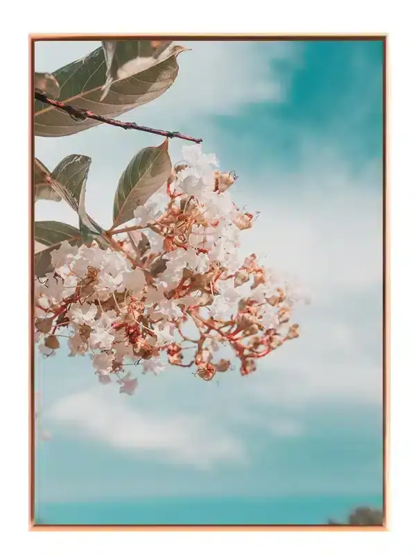 Hvide Blomster og Blå Himmel Plakat