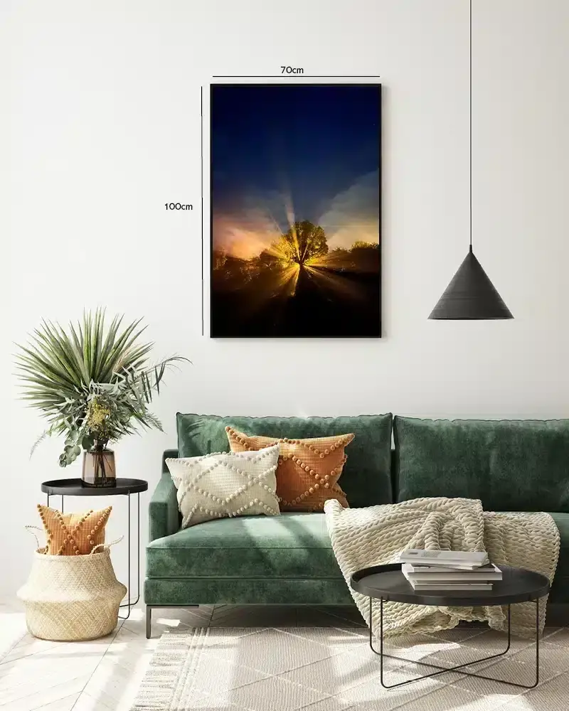 Træ Med Lysstråler Plakat
