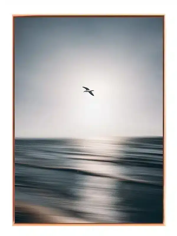 Måge Over Havet Plakat