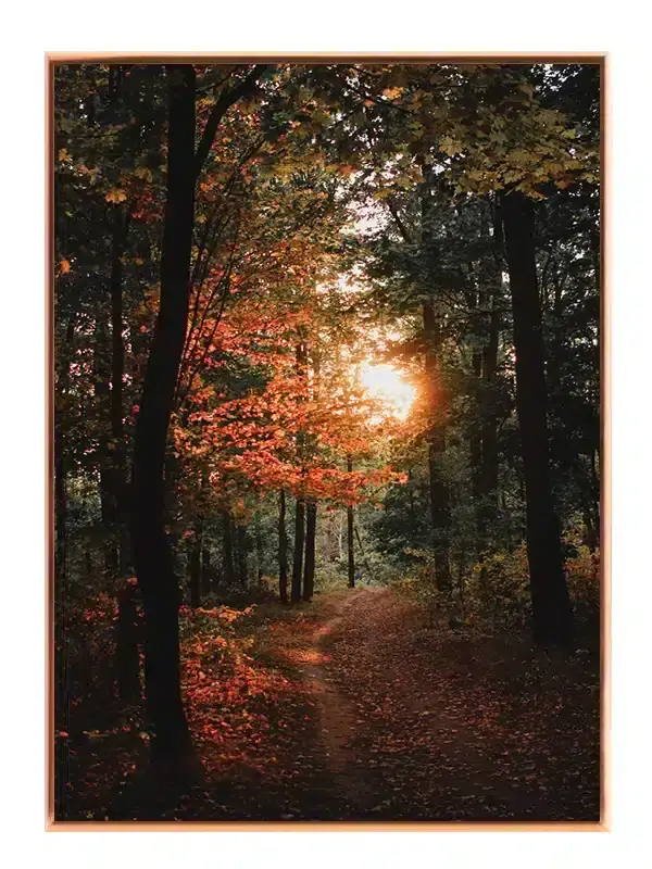 Skovsti i Aftenrødt Plakat