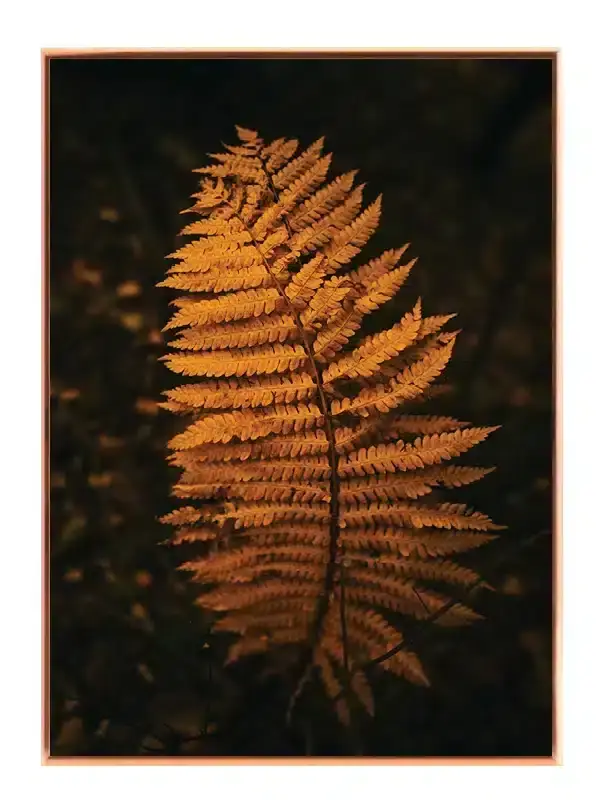 Gyldent Bregneblad Plakat