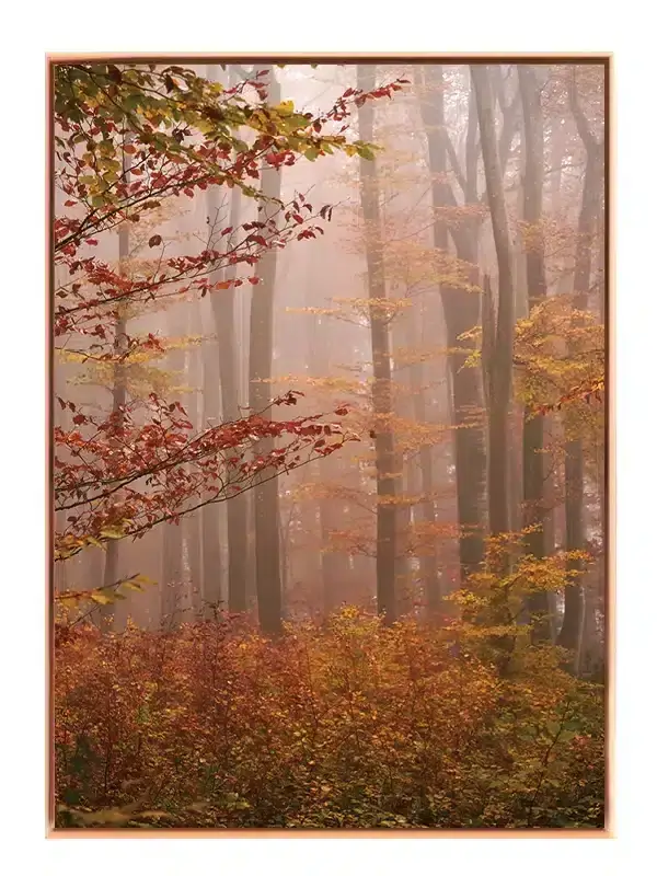 Efterårsskoven i Tåge Plakat