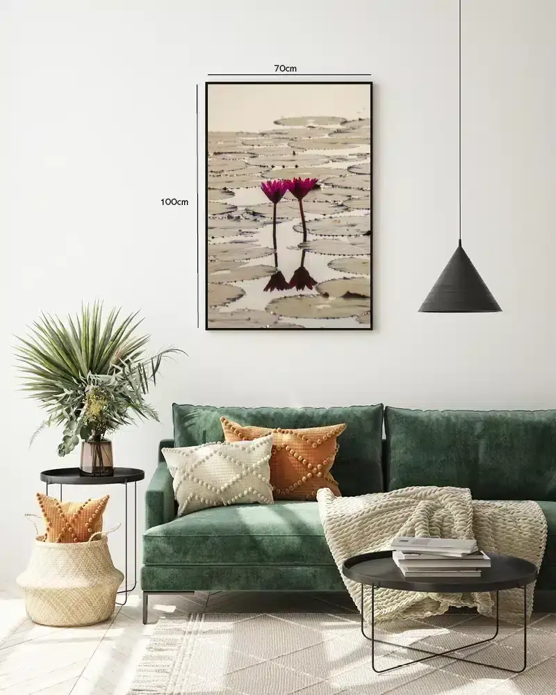 Rosa Vandliljer i Morgenlys Plakat