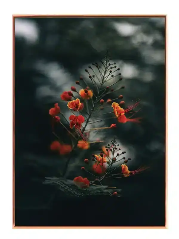 Orange Blomster i Skumring Plakat