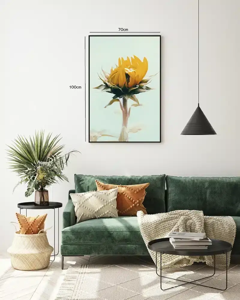 Solsikke Knop i Morgenlys Plakat