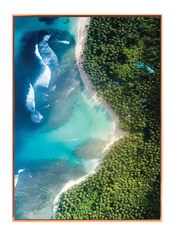 Tropisk Kystlinje Set Oppefra Plakat
