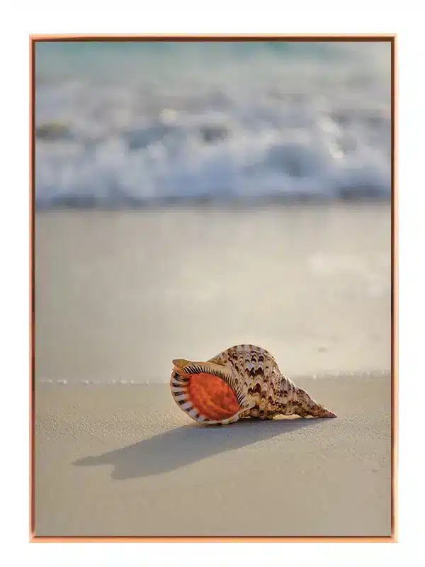 Musling Ved Strandkanten Plakat