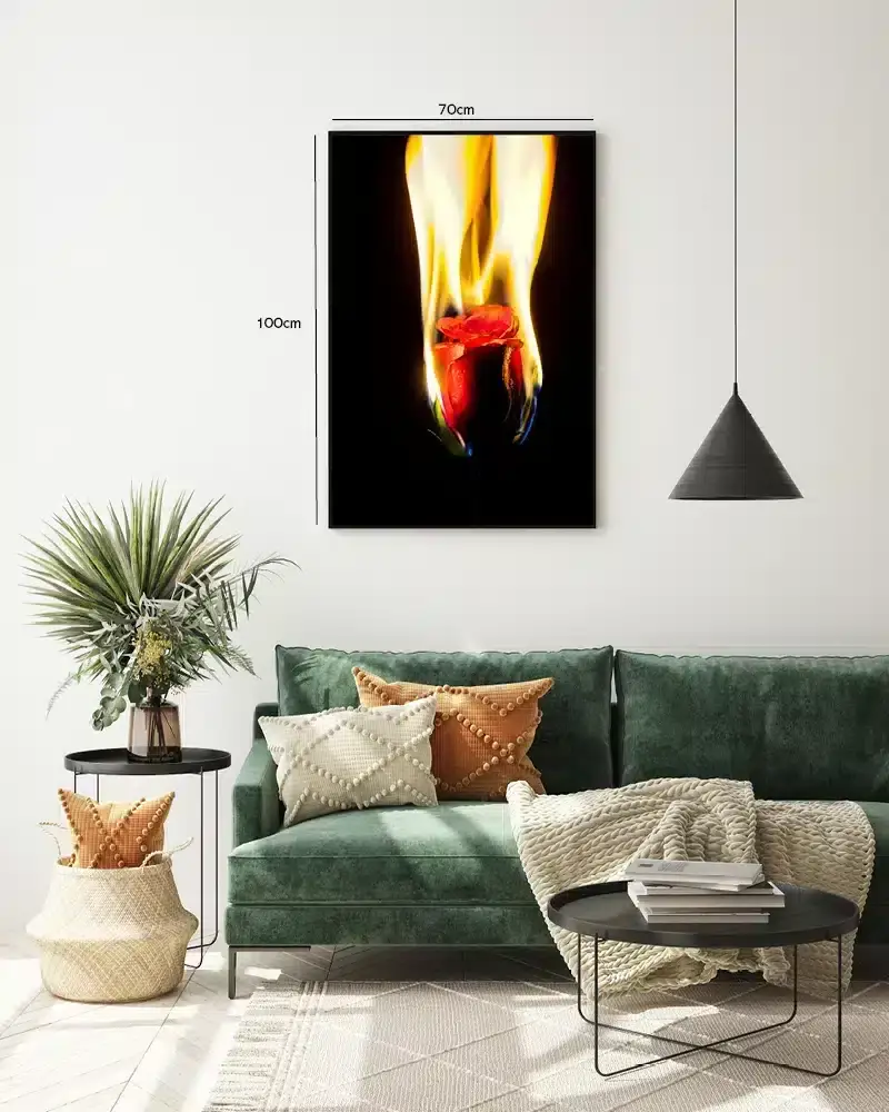 Flammende Rød Rose Plakat