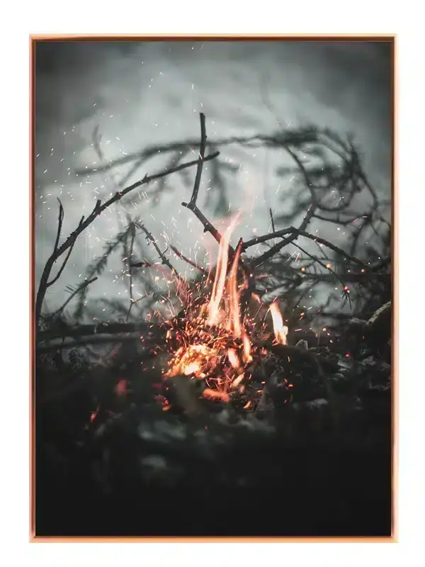 Gnistrende Skovild Plakat
