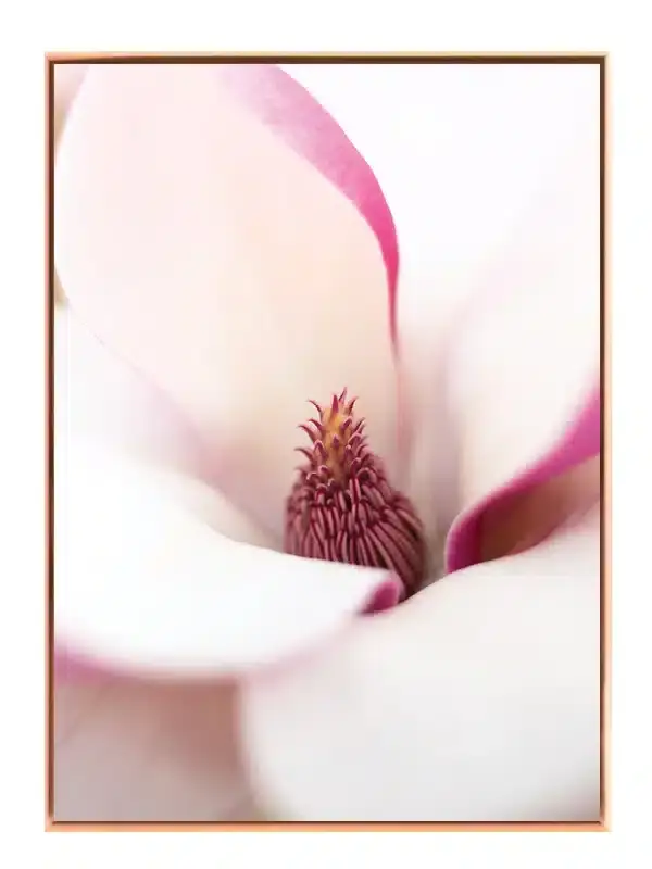 Magnolia Blomst Detalje Plakat
