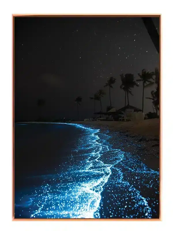 Bioluminescerende Kystnat Plakat