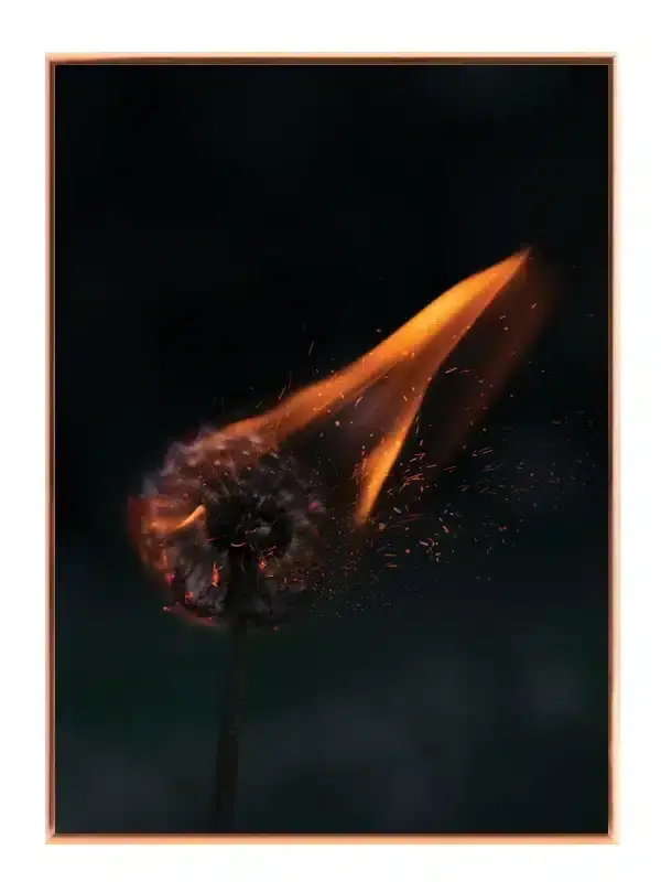 Flammende Mælkebøtte Plakat
