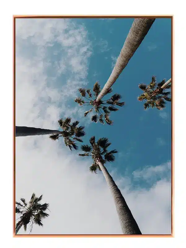 Høje Palmetræer Mod Himmel Plakat