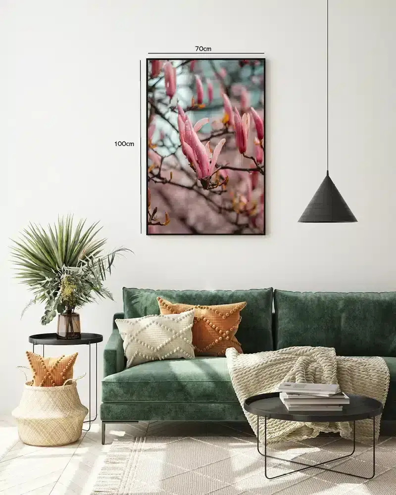 Rosa Magnolia Knopper Plakat