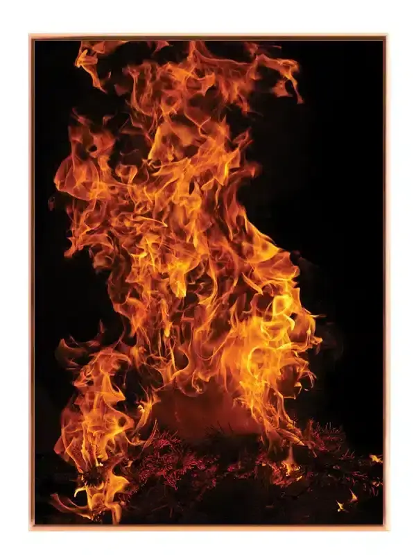 Natlige Flammer Plakat