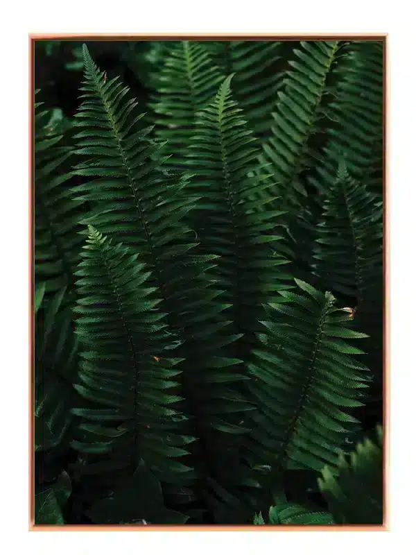 Dybe Grønne Bregner Plakat