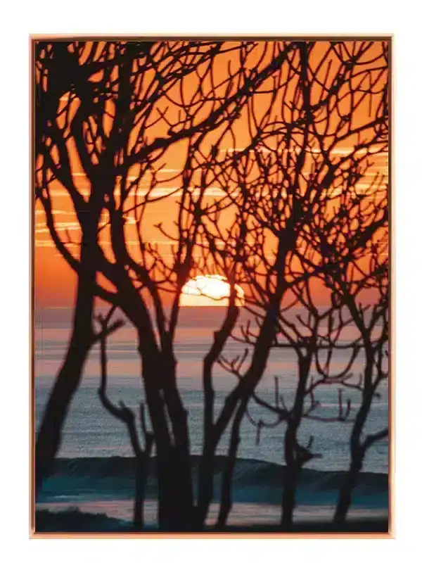 Solnedgang Bag Grenene Plakat