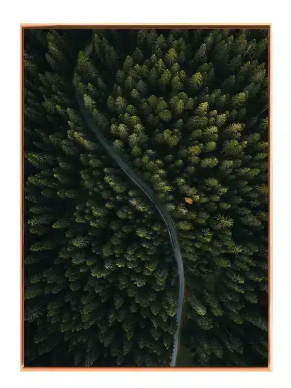 Slingrende Skovvej Plakat