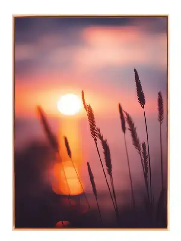 Solnedgang Over Græsstrå Plakat
