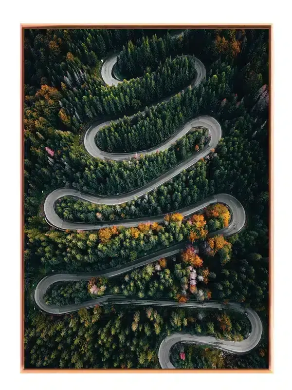 Slynget Skovvej Efterår Plakat