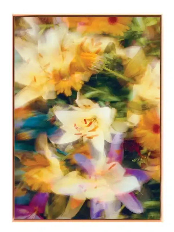 Sommerslørede Blomsterdrømme Plakat