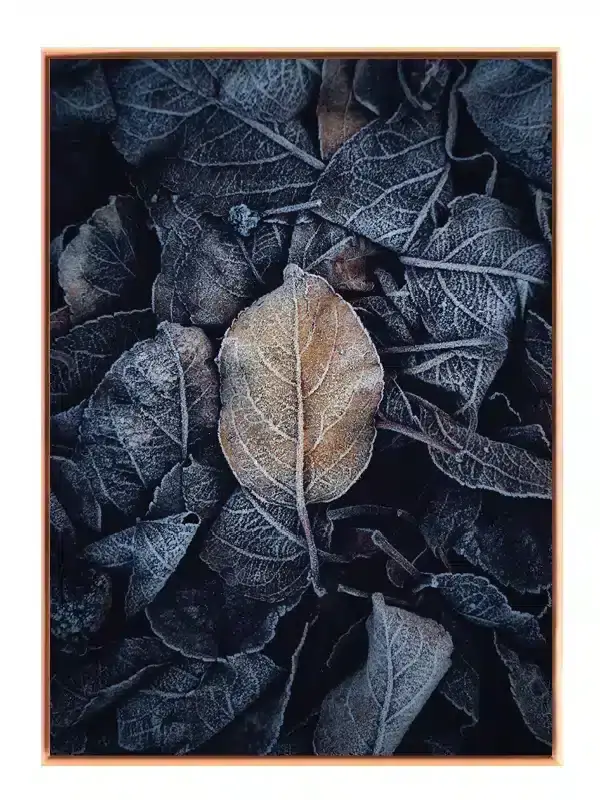 Frostklare Efterårsblade Plakat