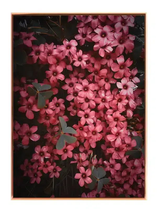 Pink Vilde Blomster Plakat