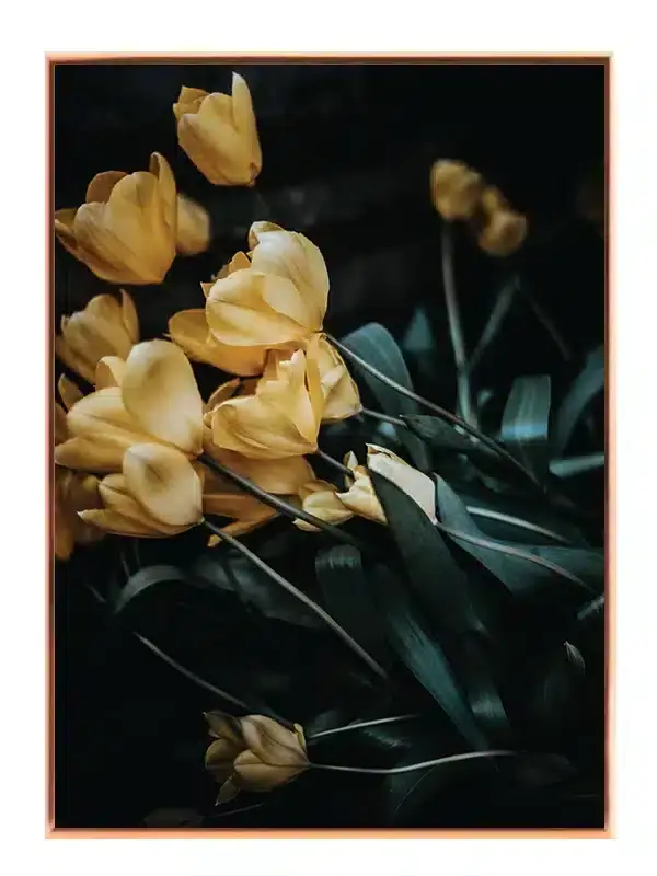 Gule Tulipaner i Skumring Plakat