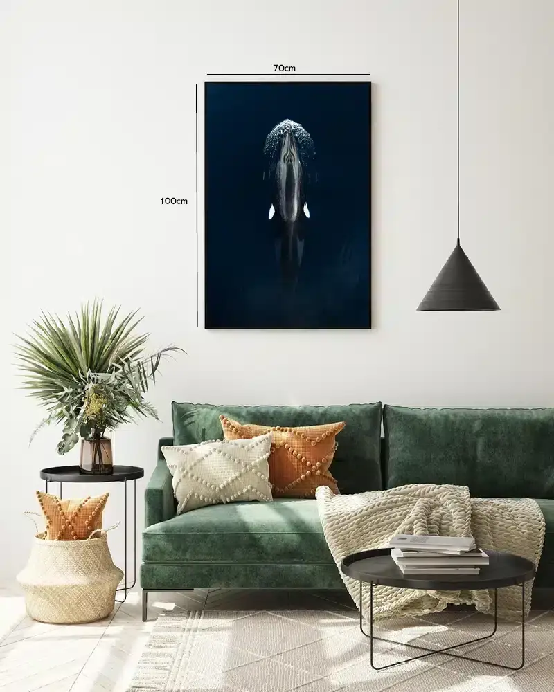 Spækhugger i Havet Plakat