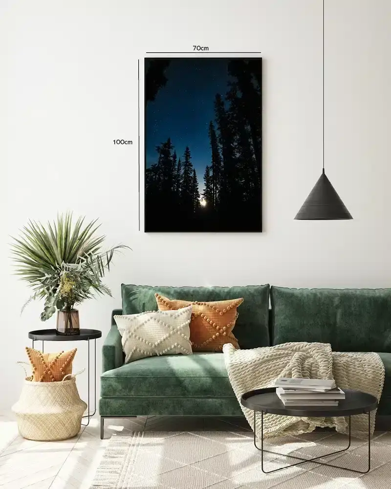 Stjernehimmel Over Fyrreskov Plakat