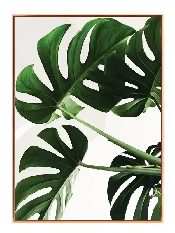 Monstera Blade Detaljer Plakat