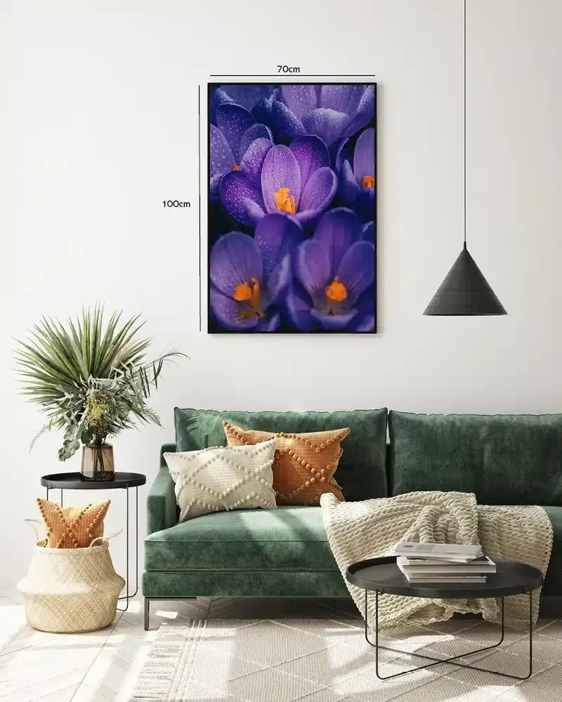 Lilla Krokus Med Dug No2 Plakat