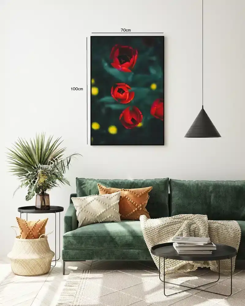 Røde Tulipaner i Naturligt Lys Plakat