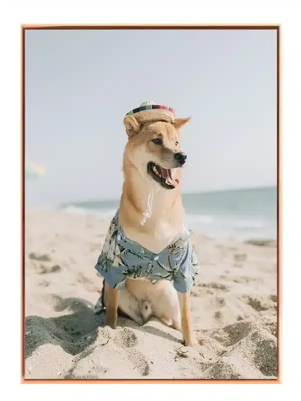 Sommerhund på Stranden Plakat