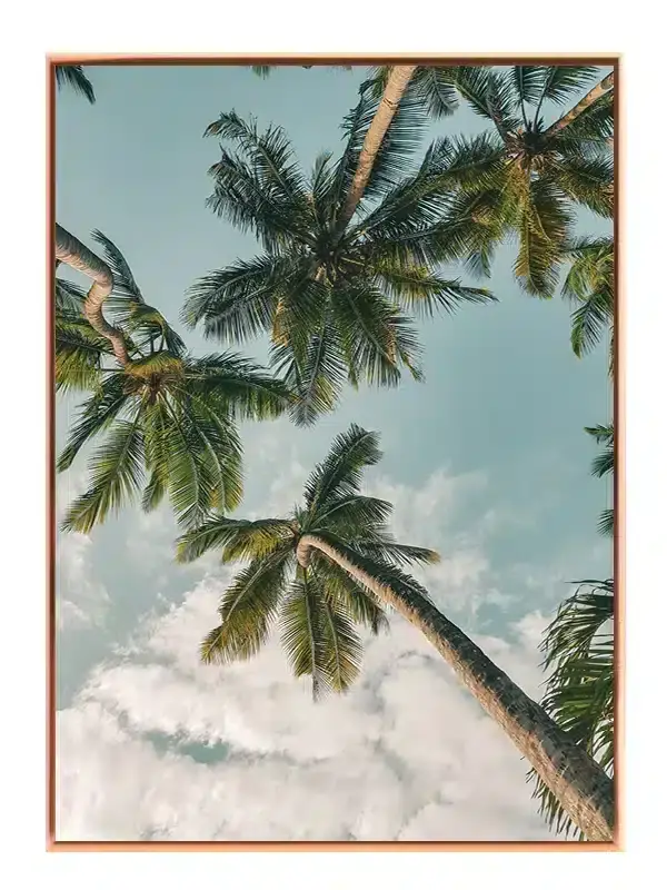 Palmer Under Blå Himmel Plakat