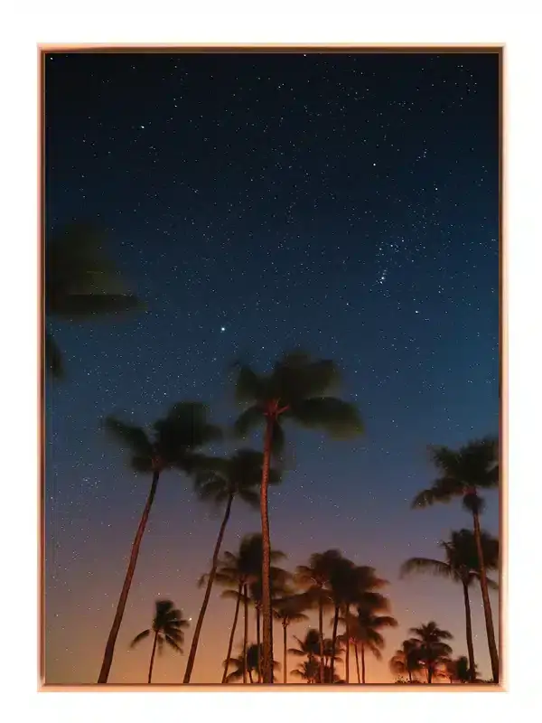 Palmer Under Stjernehimmel Plakat