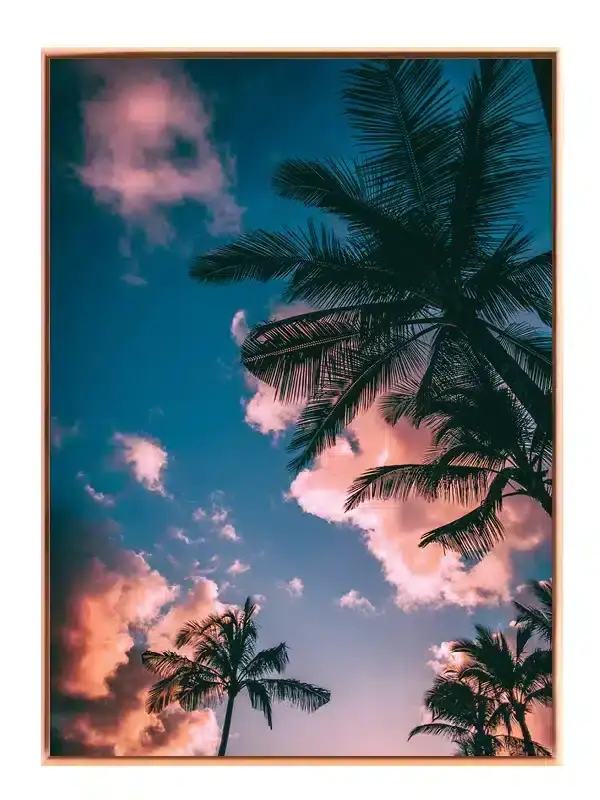 Palmer Under Aftenhimmel Plakat