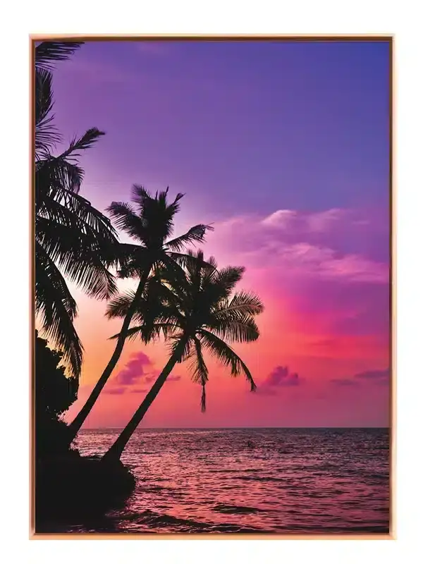 Palmer Ved Solnedgang Plakat