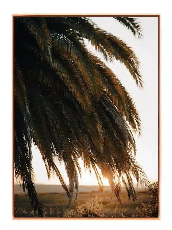 Palmeblade i Solnedgang Plakat
