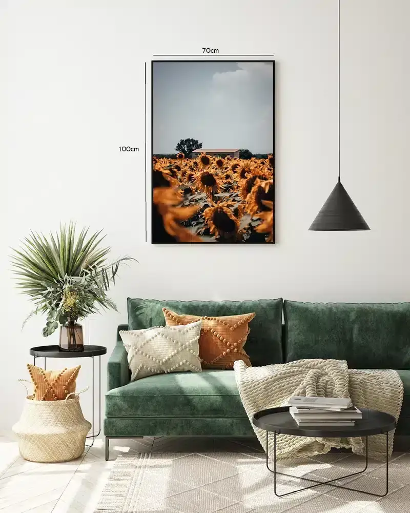 Solsikkemark og Himmel Plakat