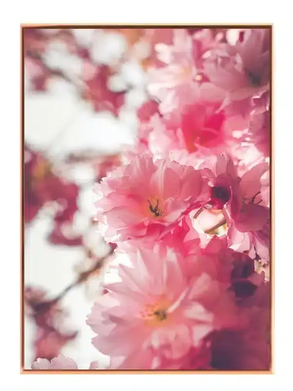 Lyserøde Blomster Detaljer Plakat